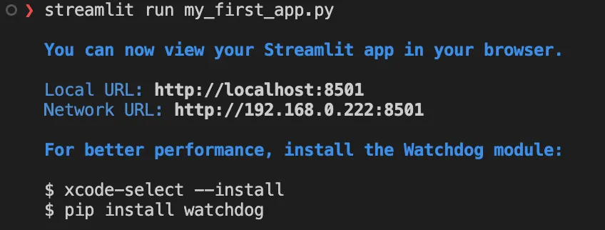Output of the terminal when launching streamlit locally